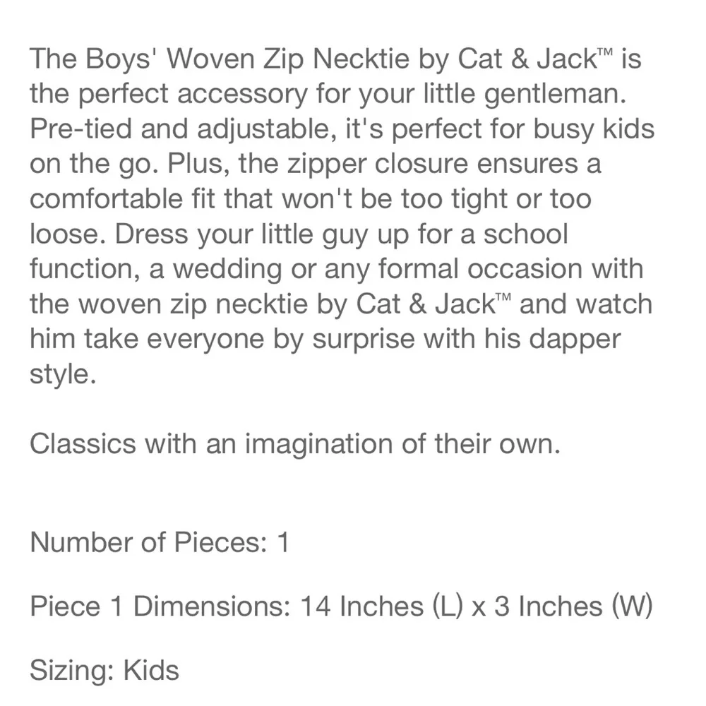 NWOT Boys’ Woven Zip Necktie - Cat & Jack Gray M/L